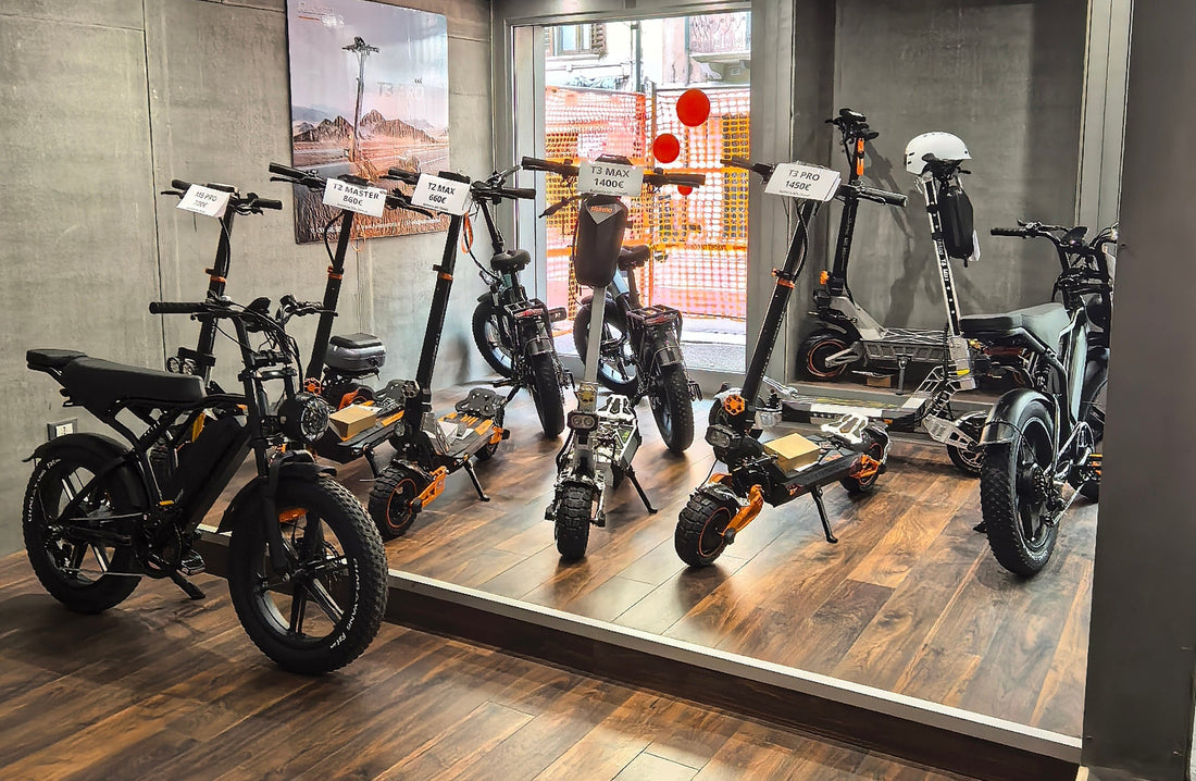 Trottinette Électrique Tout-Terrain