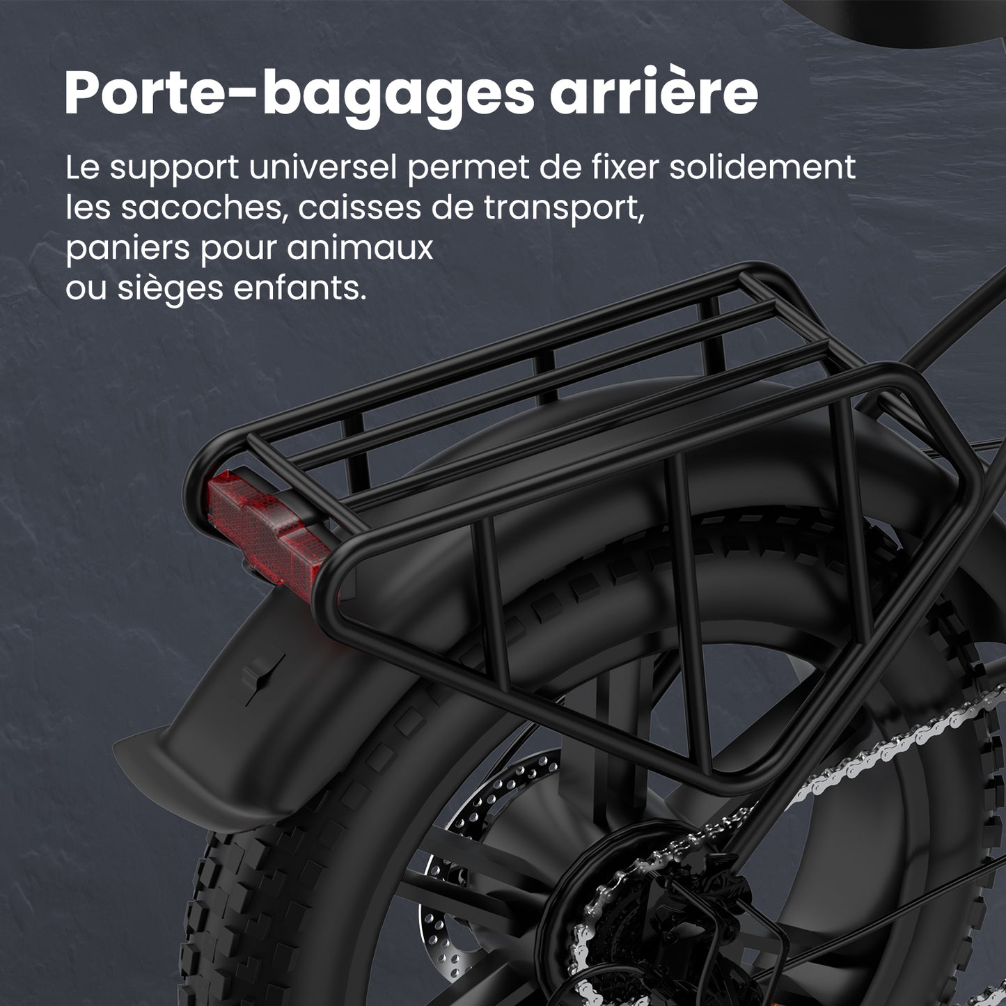 Ruitoo E20 PRO Vélo Électrique Pliant